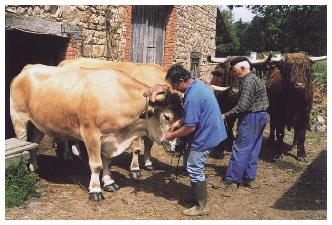 Un documentaire sur le dernier paysan margerides 19200