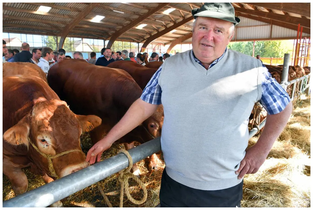 Obélix, beau bébé de deux ans, vendu 5.430 euros vendredi 13 septembre