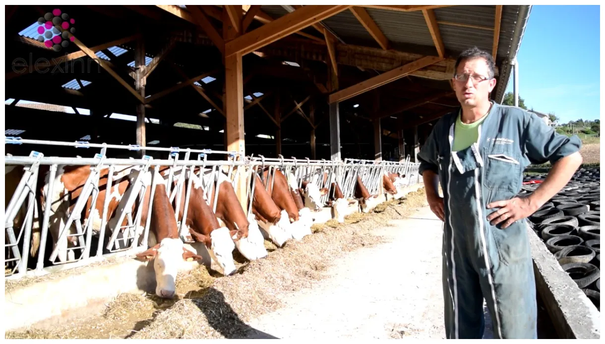 Interview xtremia de david bruyère du gaec lestra clement 69 youtube