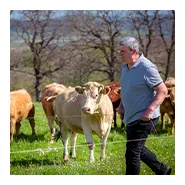 Pyrénées cathares producteurs, viandes