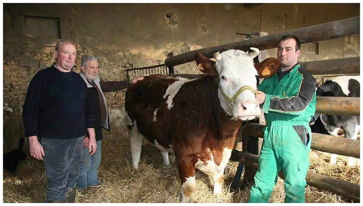 « devise » bichonnée pour le salon de l'agriculture