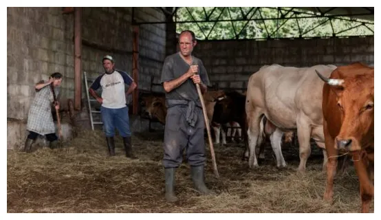 Wie wilde tiere frontpage film-rezensionen