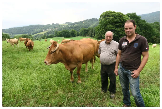 Casa de chaos, una explotación emblema para la rubia gallega campo galego