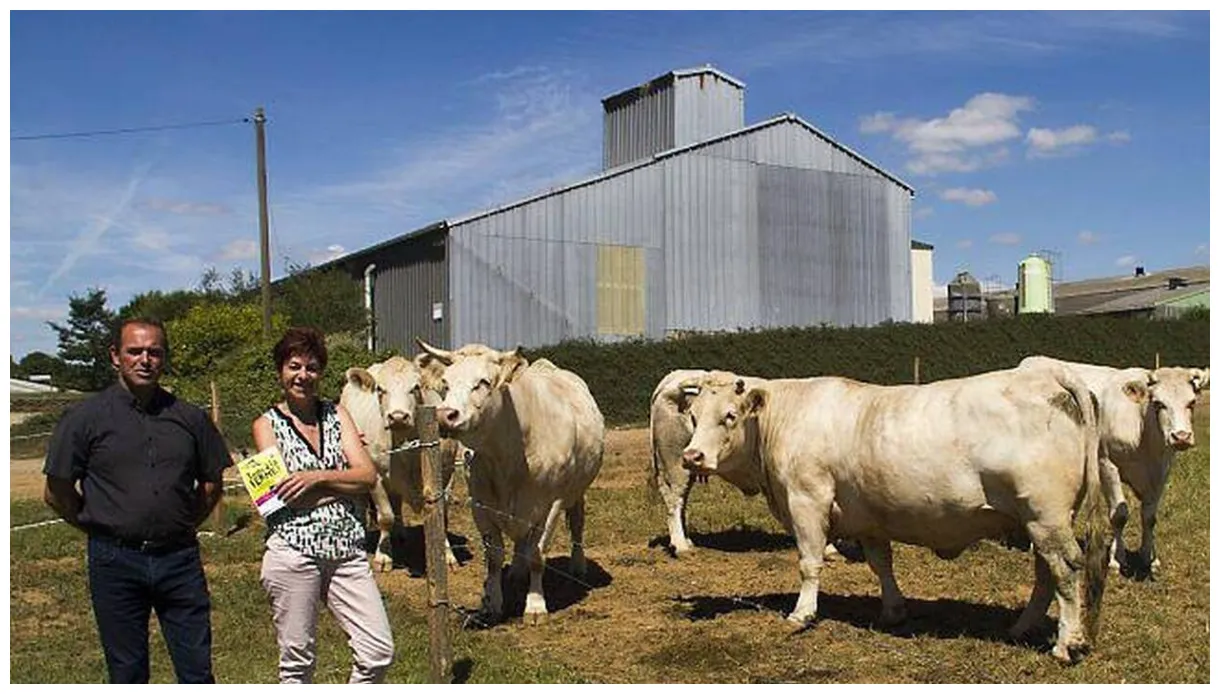 À kerlebost, veaux, vaches, cochons sont à l'école