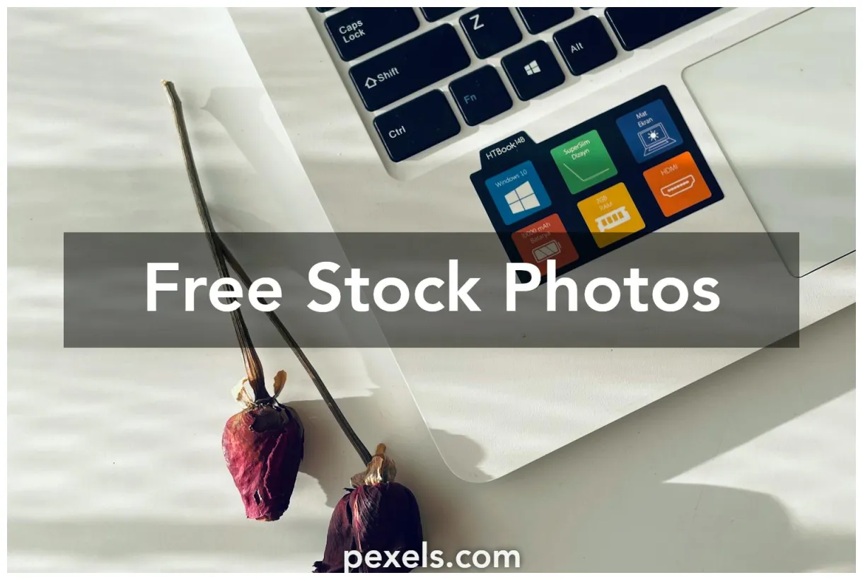 Logos s, download the best free logos s