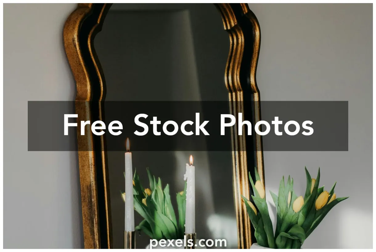 Logos for plants s, download the best free logos for plants stock