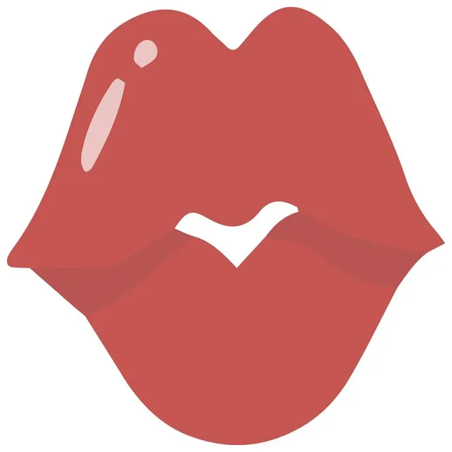 Premium vector assesories