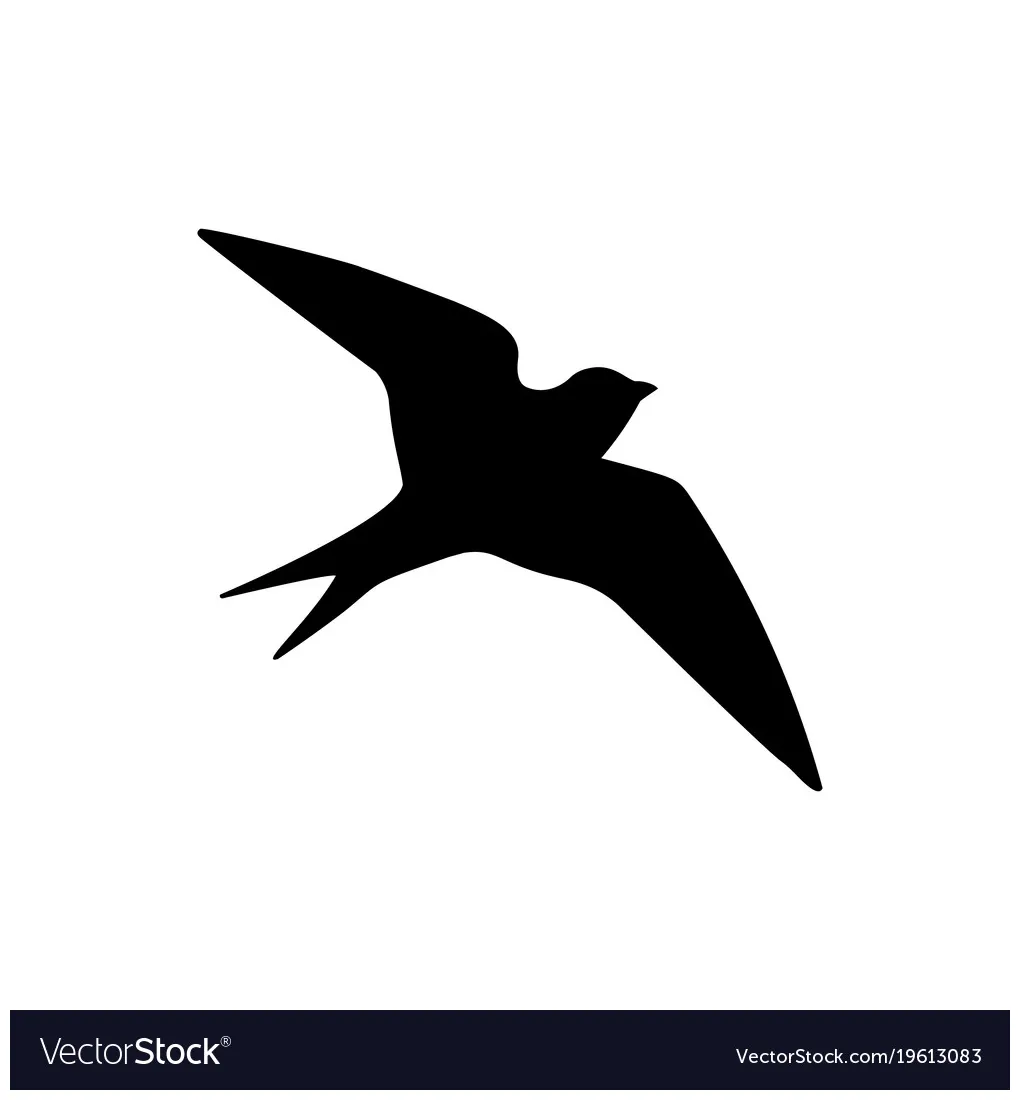 Bird icon vector vectorstock