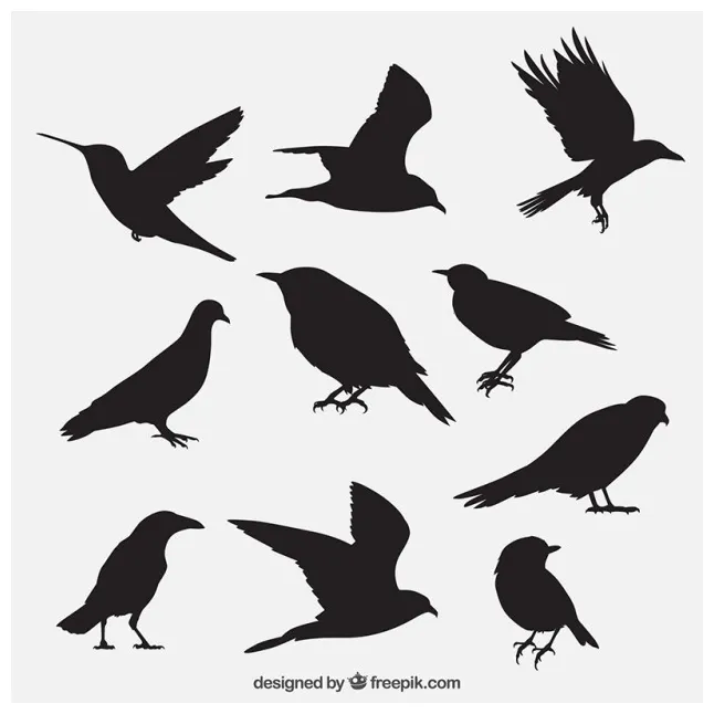 #170423 free icons library printable coloring page