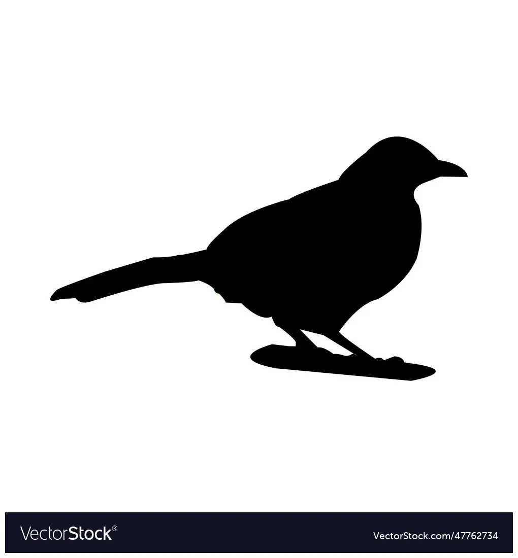 Bird icon vector vectorstock