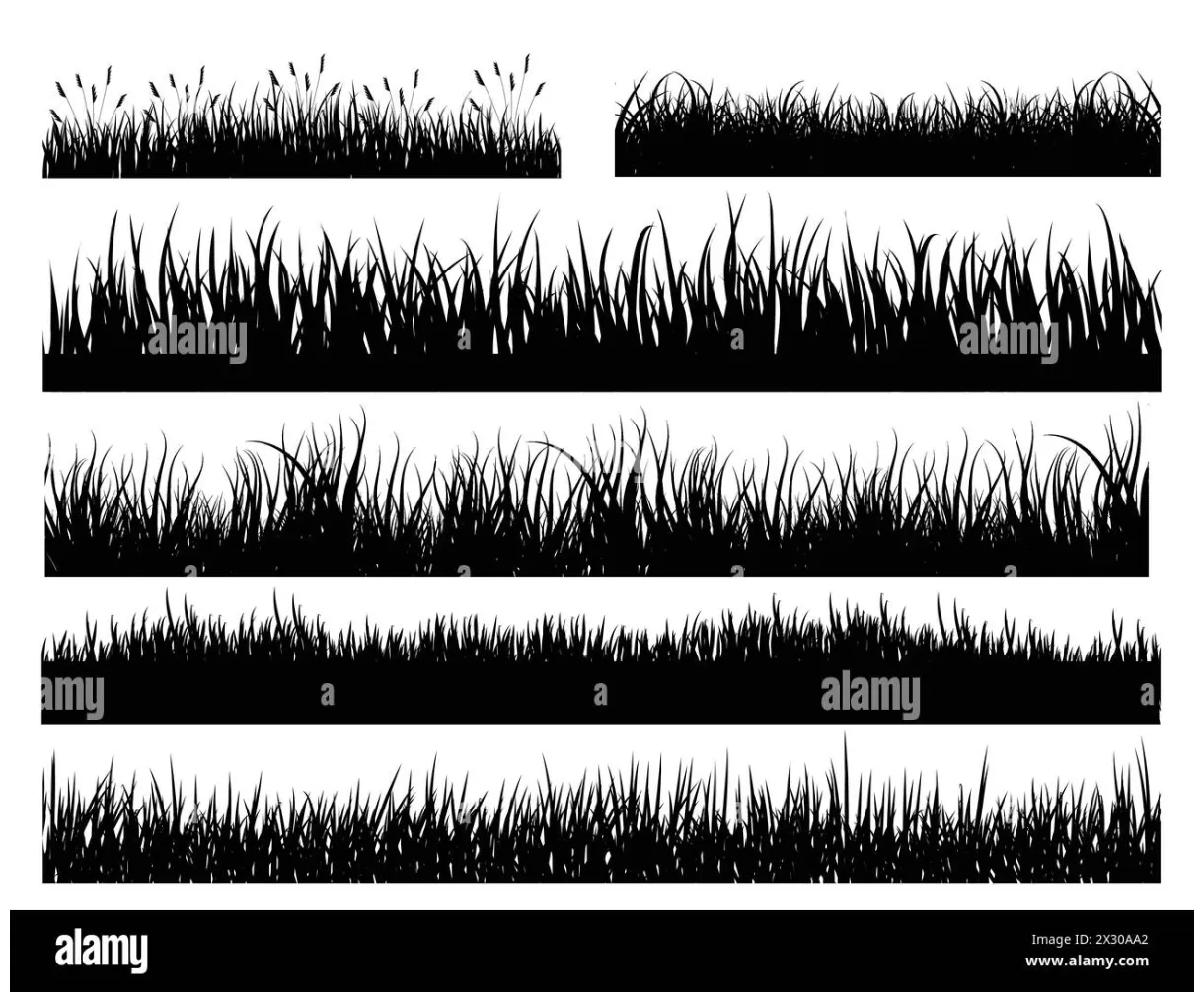 Grass border silhouette vector art Stock Vector Image & Art - Alamy