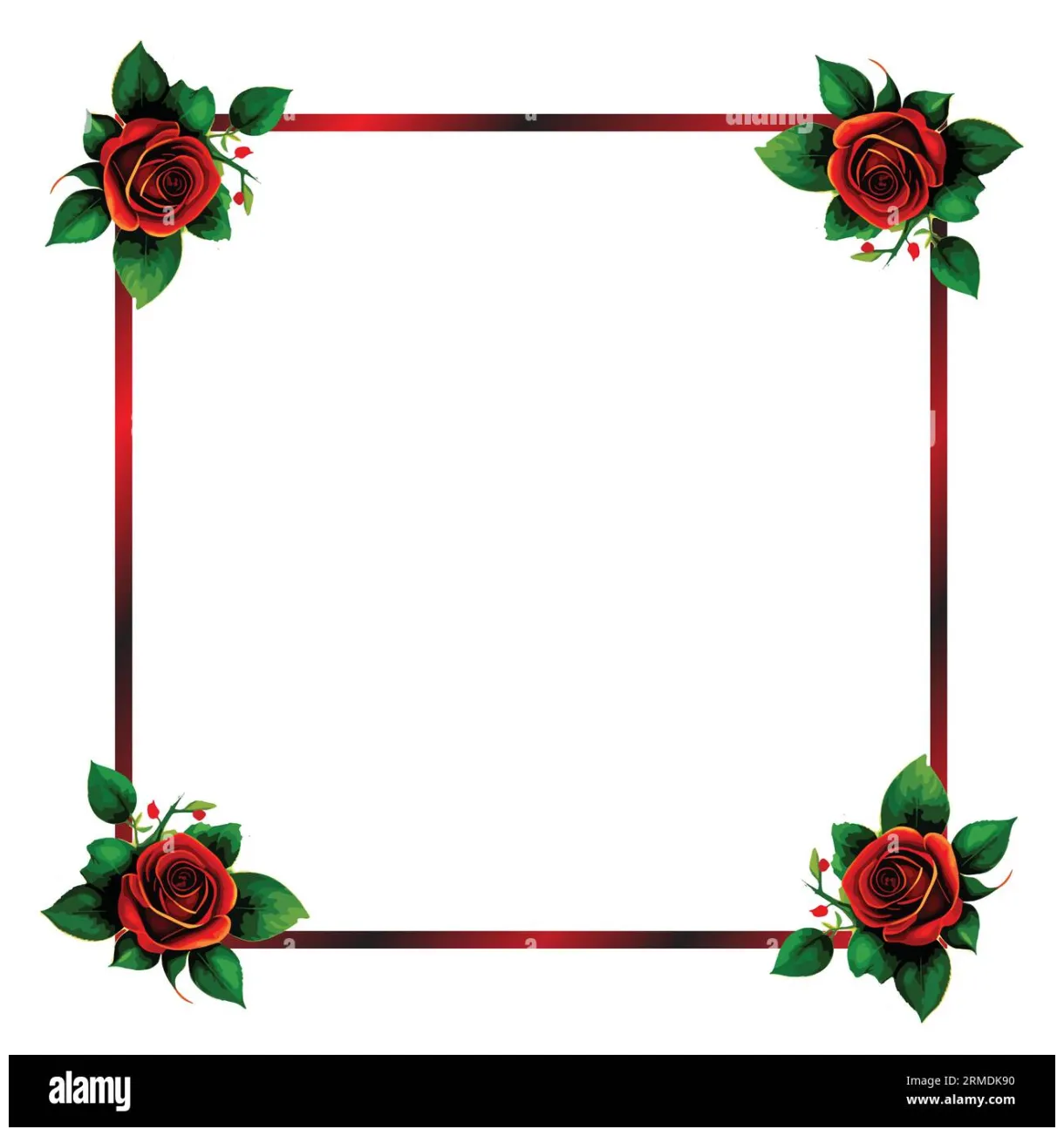 floral frame border vector Stock Vector Image & Art - Alamy