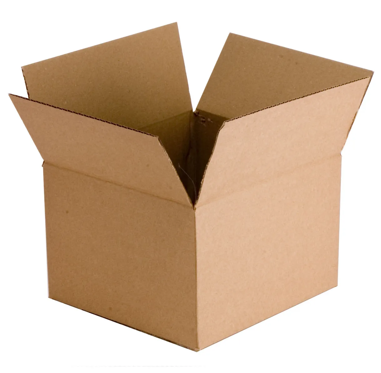 Day #173 the box petrina binney author