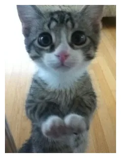 The android’s red flag quasi-political ramblings every video games