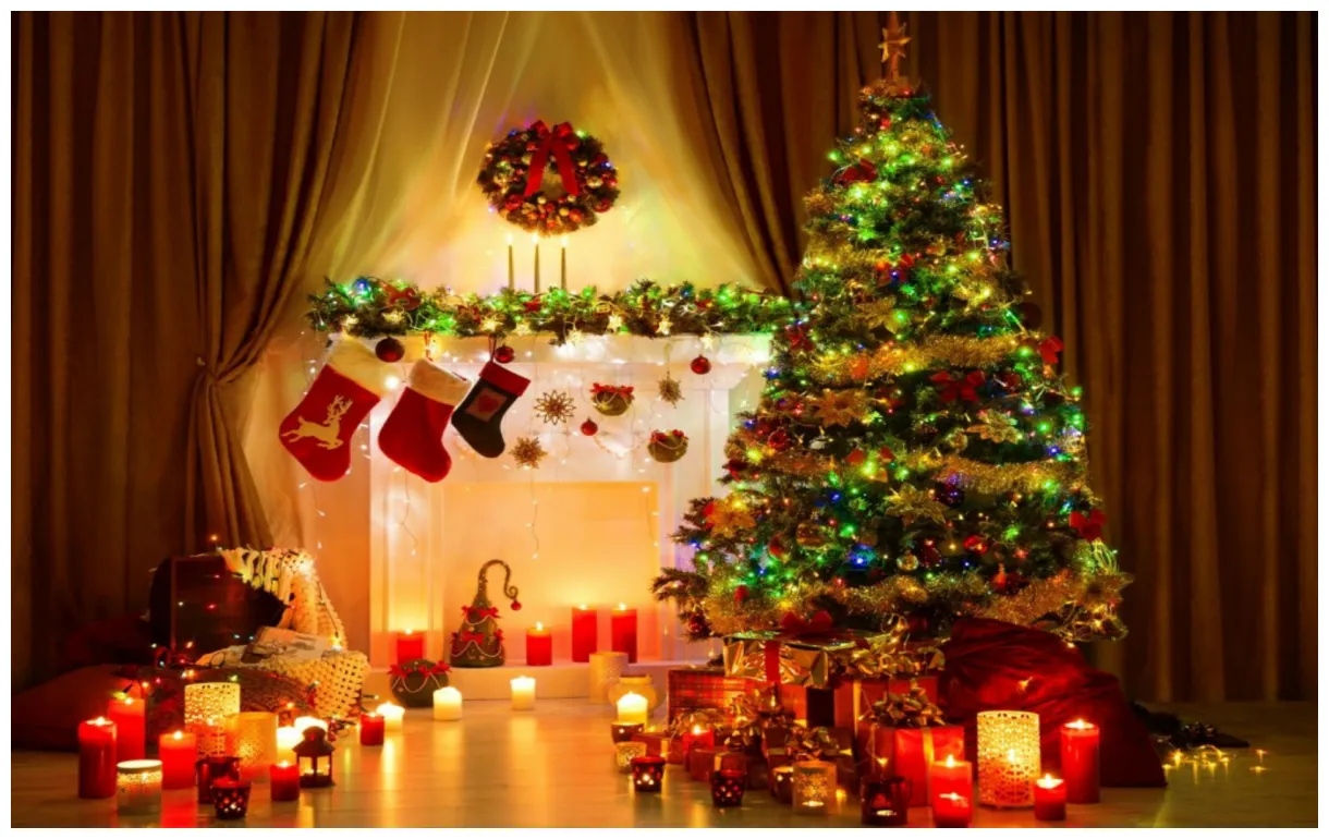 Christmas tree 79+ s