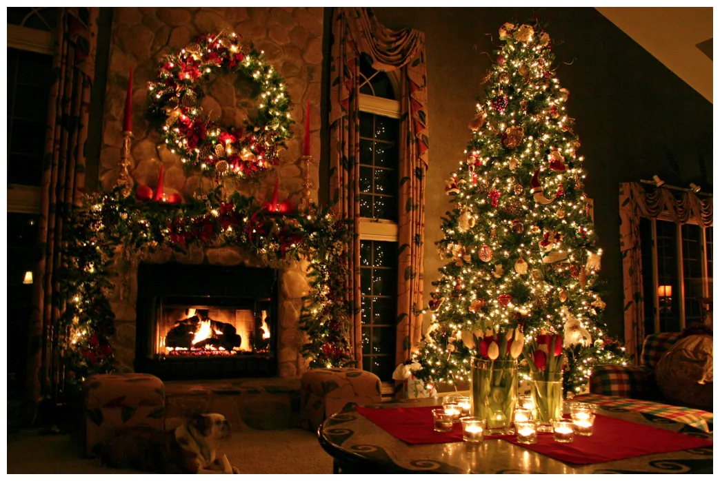 What is christmas! lifereader