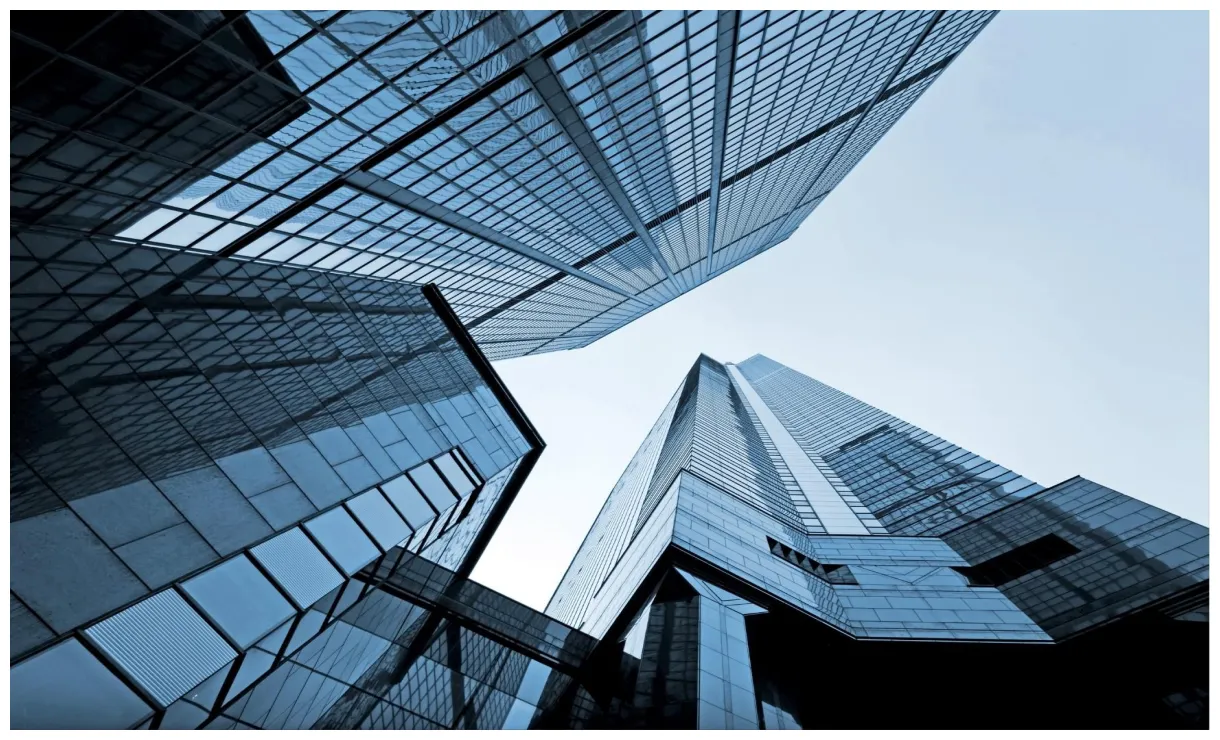 Sentient international company types sentient international printable coloring page