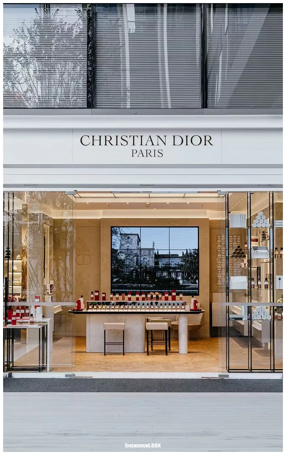 Dior Сумка на плечо седло купить на OZON по низкой цене (1956987792)