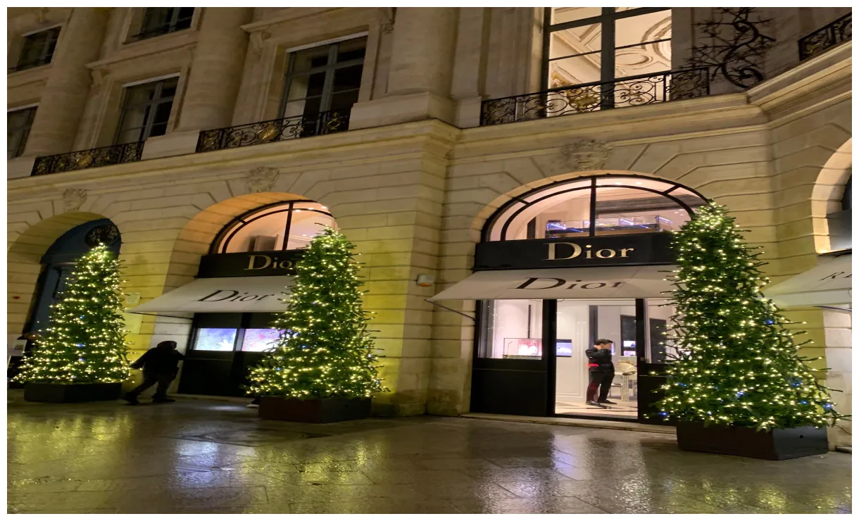 MAISON CHRISTIAN DIOR - Blog - Alexandra Lapp