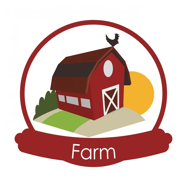 Premium vector design