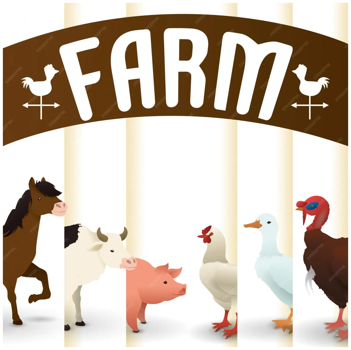 Premium vector design