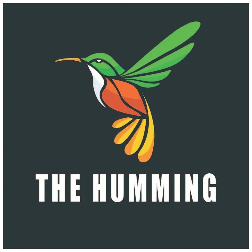 Gradient … ifrah abid medium