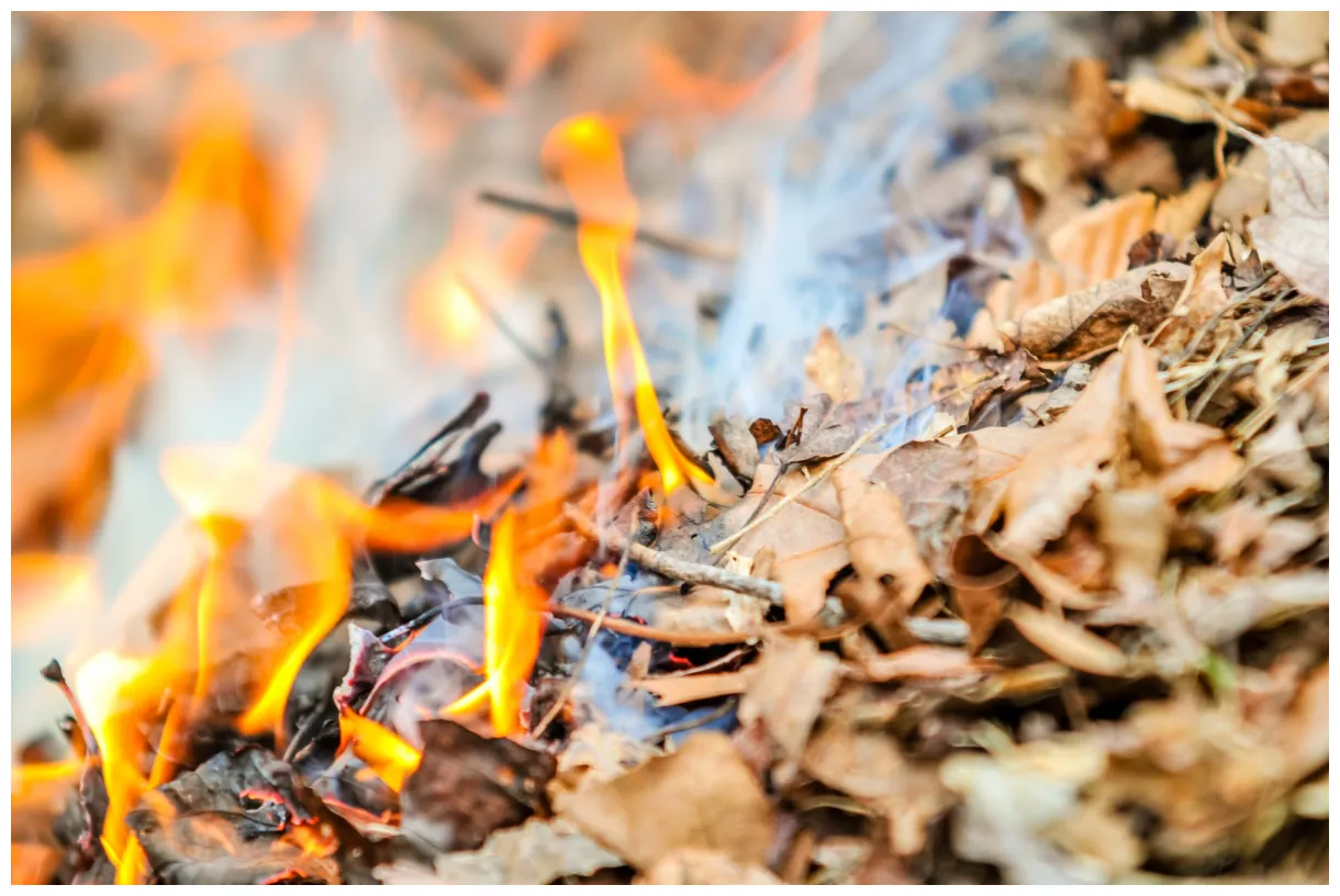 Burning fire free public domain pictures