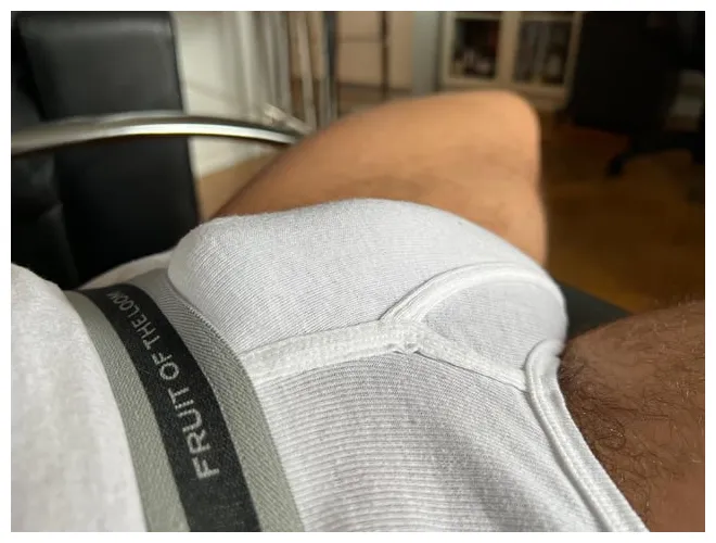 Vintage Fruit of the Loom briefs - 4 - got aroused : r/MenInBriefs