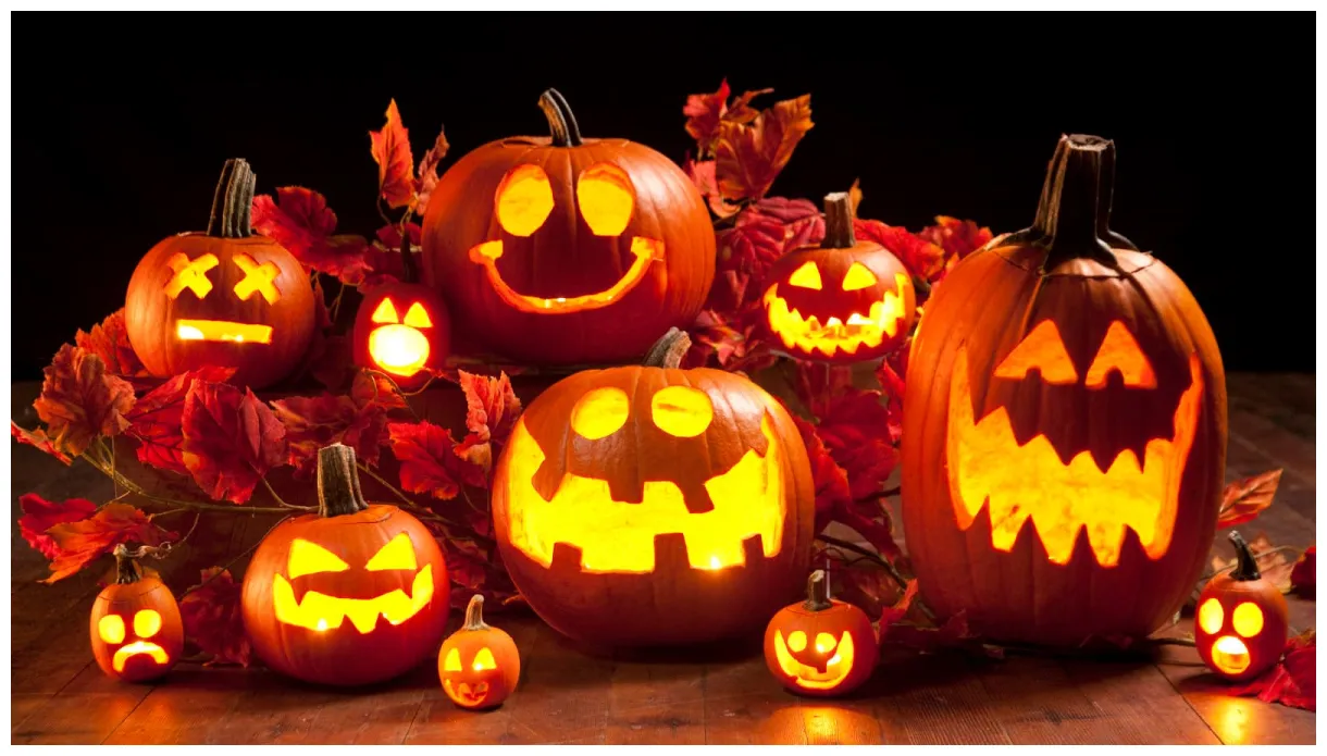 7 Fakten über Halloween: Das muss man über Tradition wissen - Blick