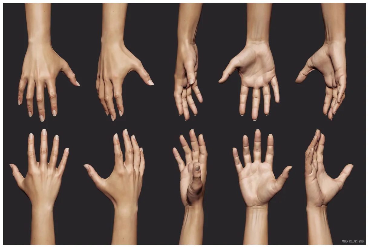 Artstation female hand study, andor kollar hand anatomy, anatomy