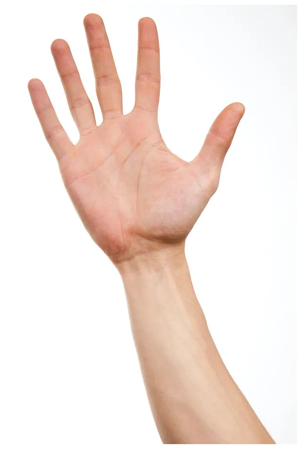 Hand 002 by isostock on deviantart