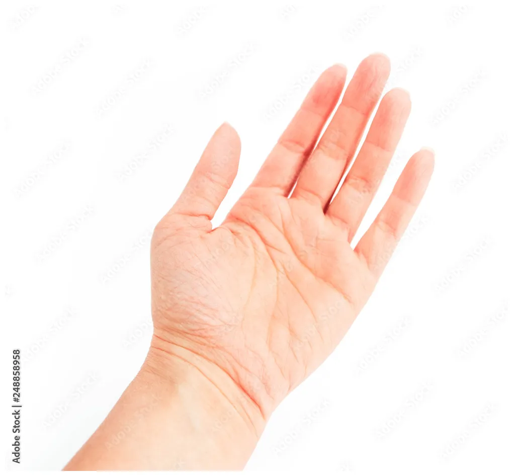 Young woman hand isolated on white . giving female hand palm