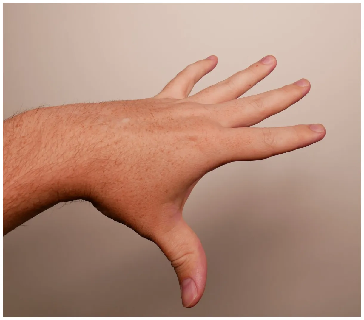 Hand reference s for artists draw paint academy