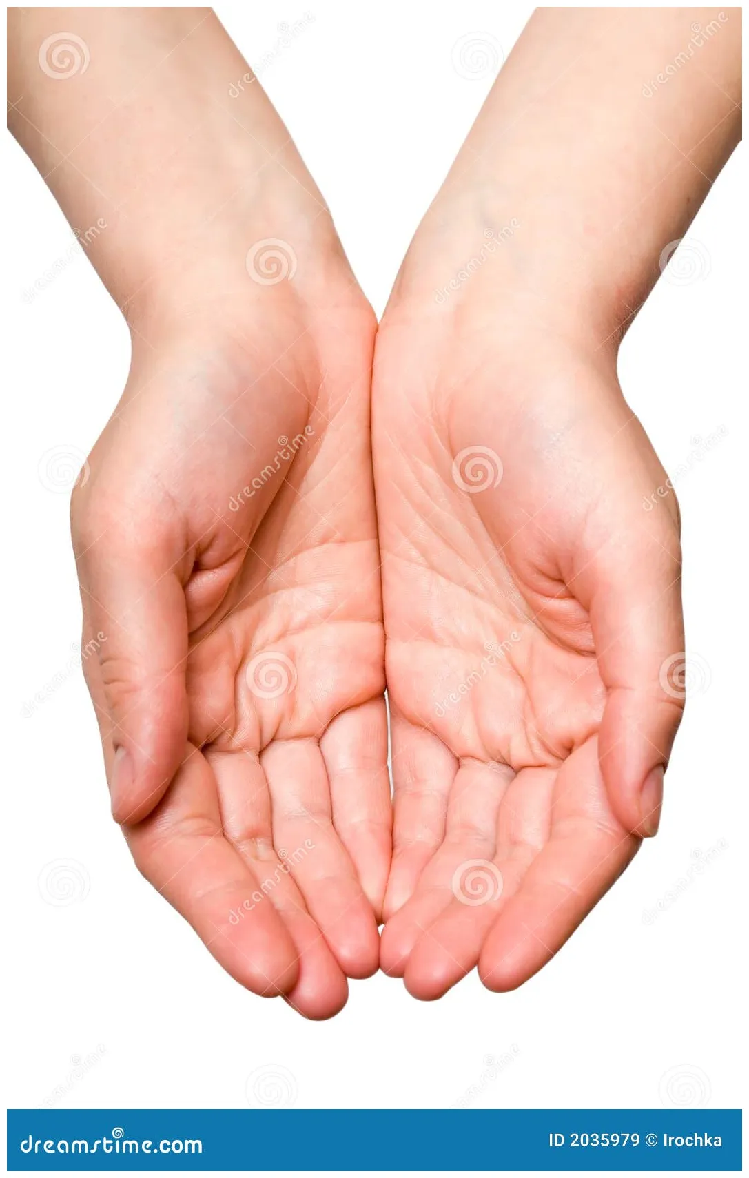 Hand stock . of isolated, adult, s 2035979