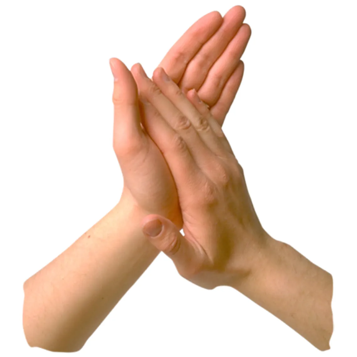 List 105+ pictures hand in hand or hand and hand superb