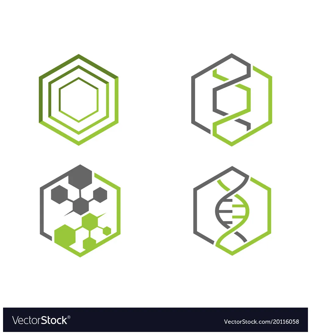Abstract hexagon logo vector
