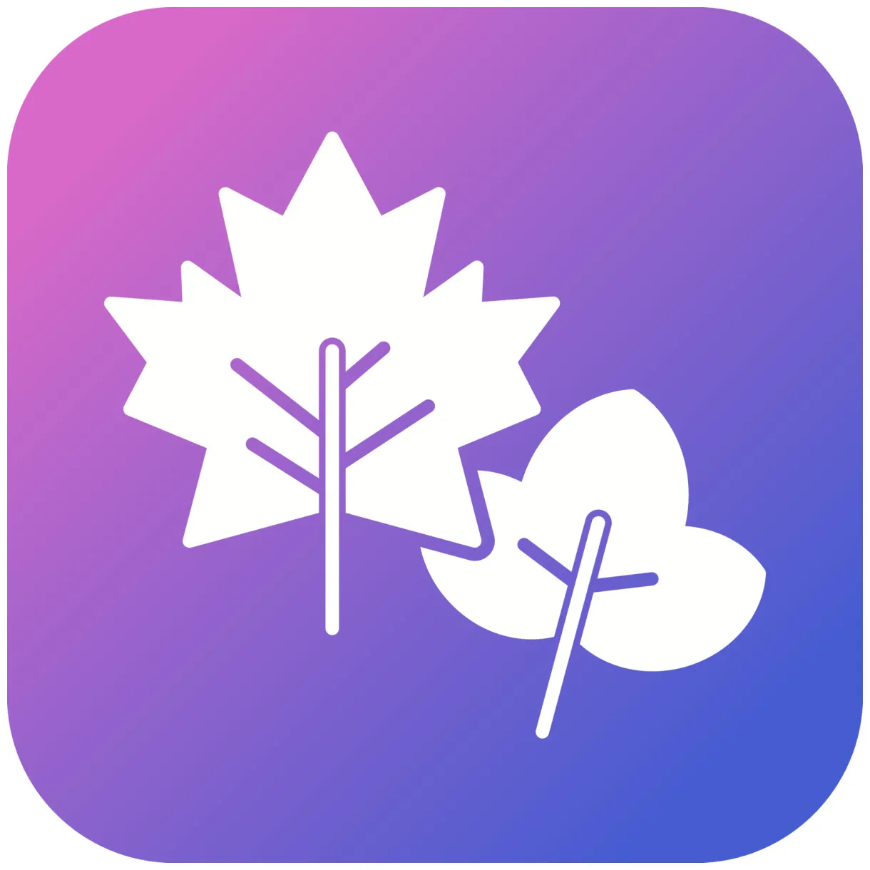 Leaf vector icon 17146723 vector art at vecteezy