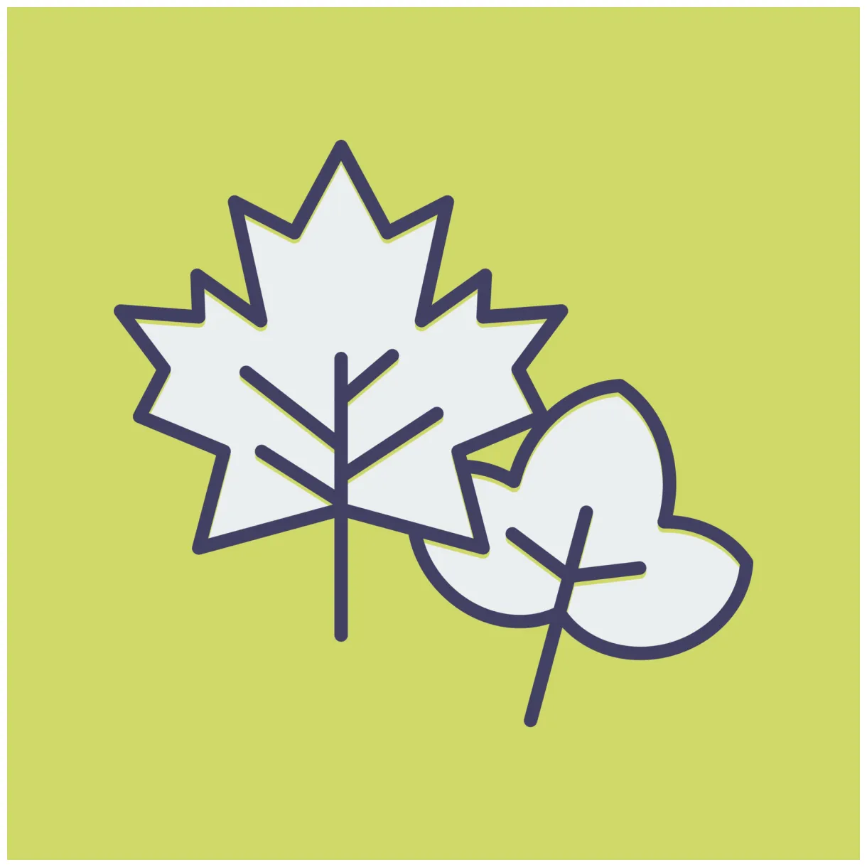 Leaf vector icon 23616410 vector art at vecteezy