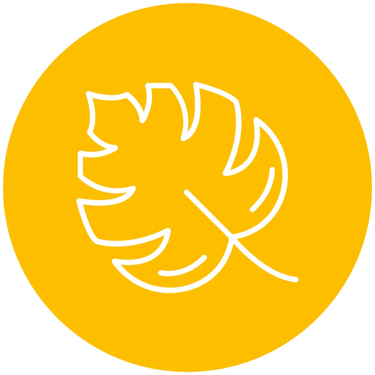 Leaf vector icon 15557749 vector art at vecteezy