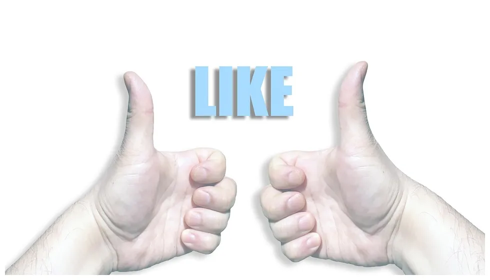 Like sign acclaim free on pixabay