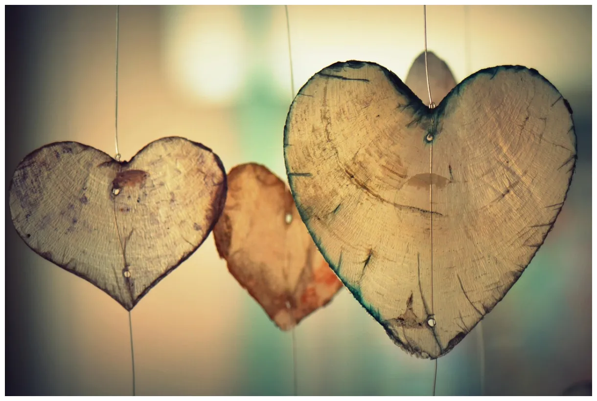 Heart love happiness free on pixabay pixabay