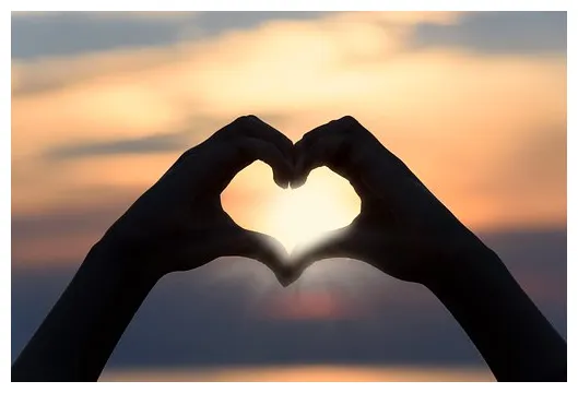 What is love? relationship hub