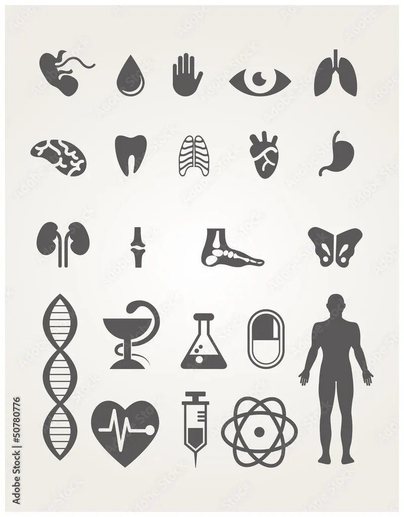 Set stock vector adobe stock