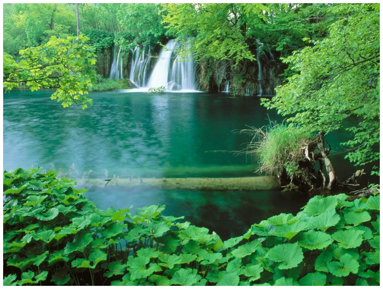 🔥 [77+] nature s s safari