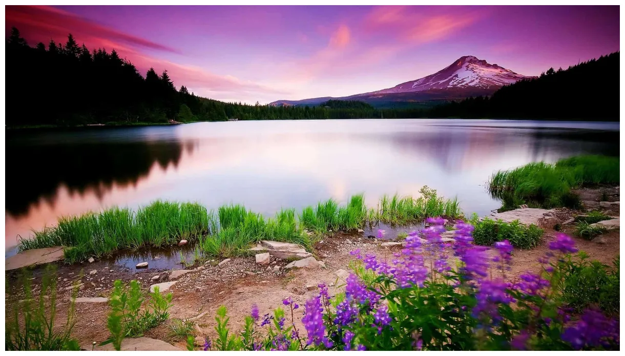 1080p nature pixelstalk