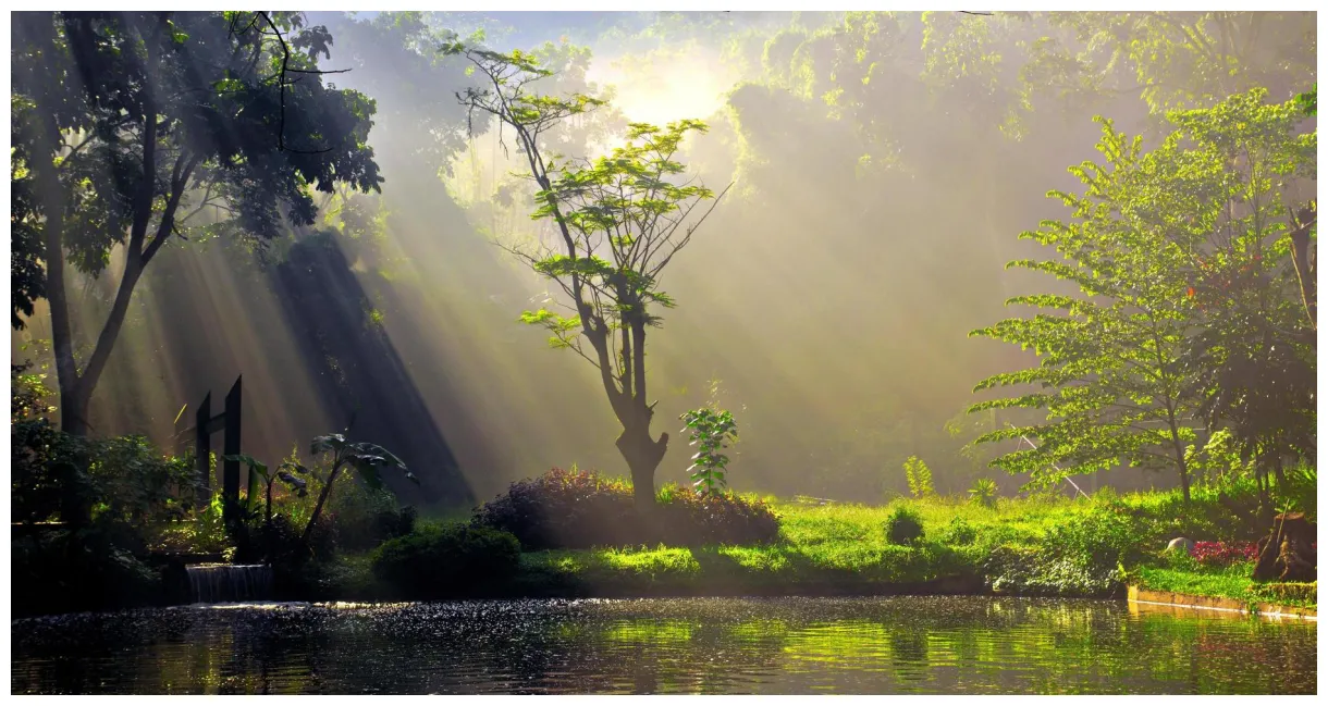 Nature s, s and s for