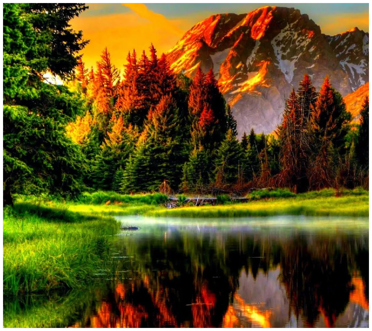 Nature s / and mobile s