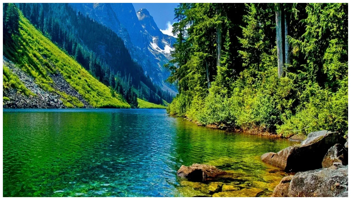 Download awesome nature s in full