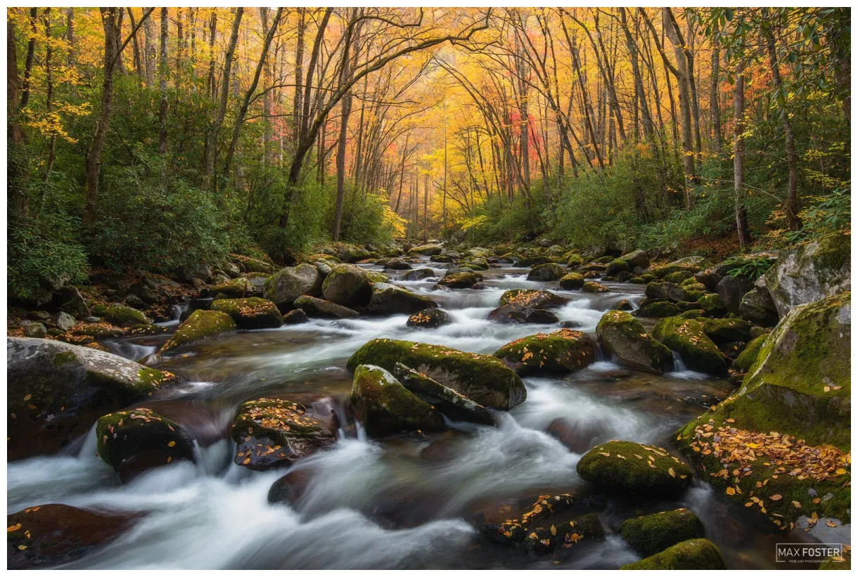 Best graphs of nature