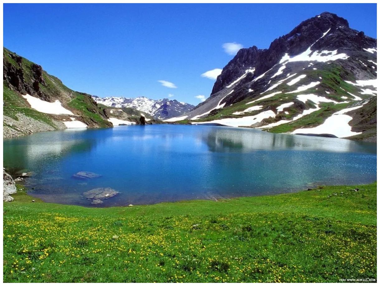 Amazing nature s national geographic 7896980